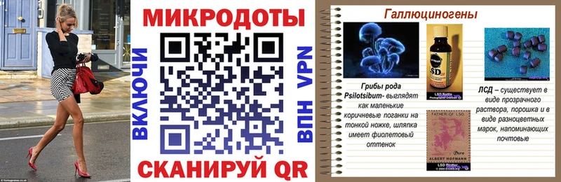 Псилоцибиновые грибы Cubensis Купить закладки Кинель