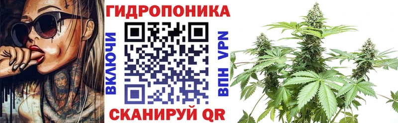 Купить закладки  Кинель  Канабис индика 
